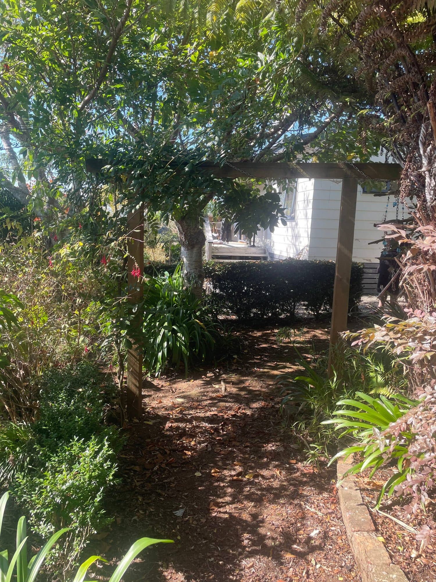 Native bush at the foot of Mt Pirongia